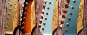 shelton guitar headstock decal cover photo